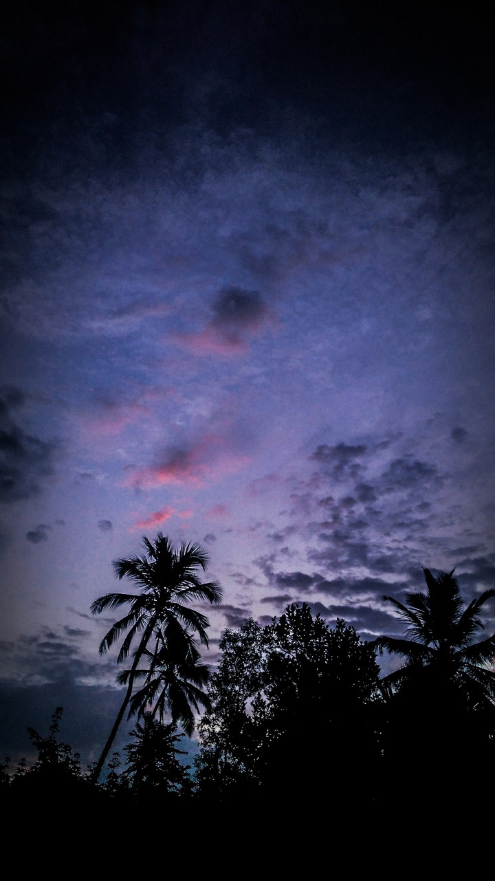 Evening