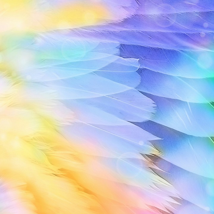 what colors??