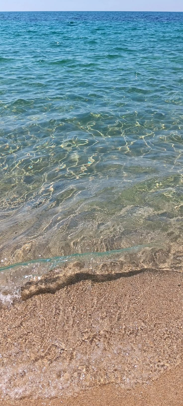 summer, horizon háttérképek