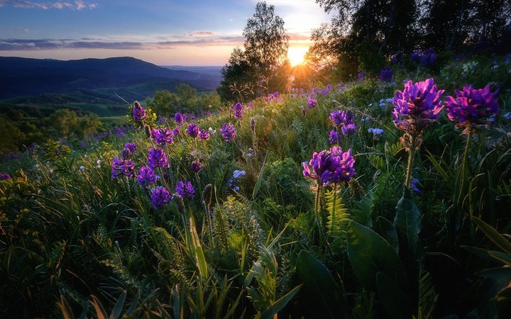 Nature's Beauty