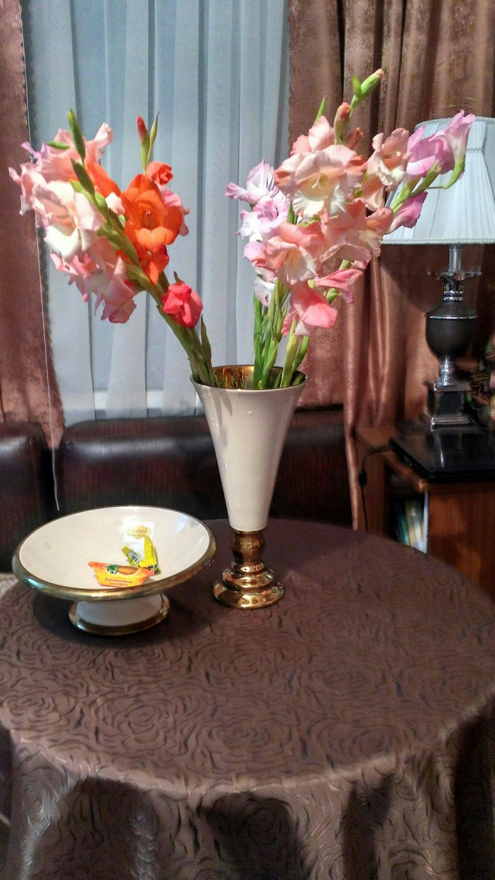 мой дом