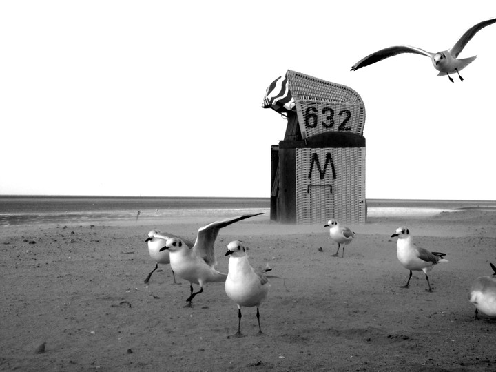 Sea