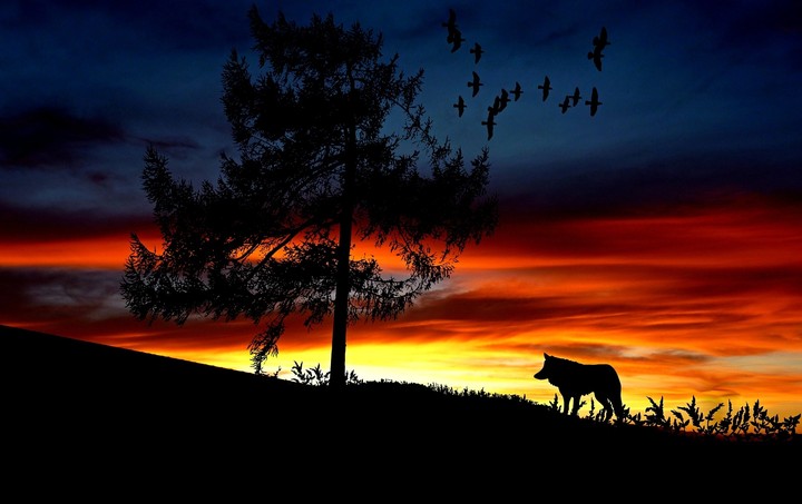 beautiful picture....