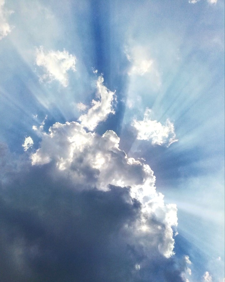 WEATHER