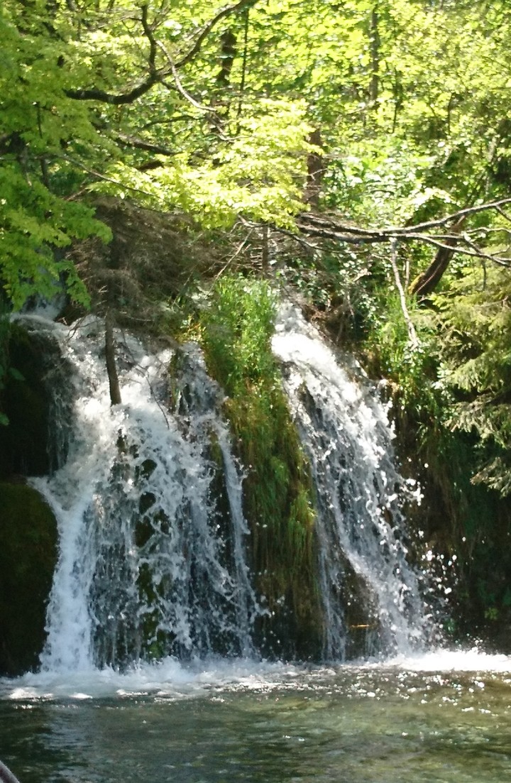 Water