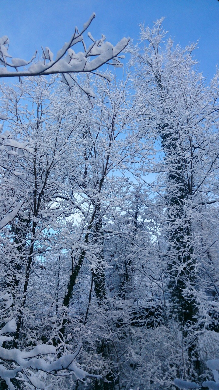 winter