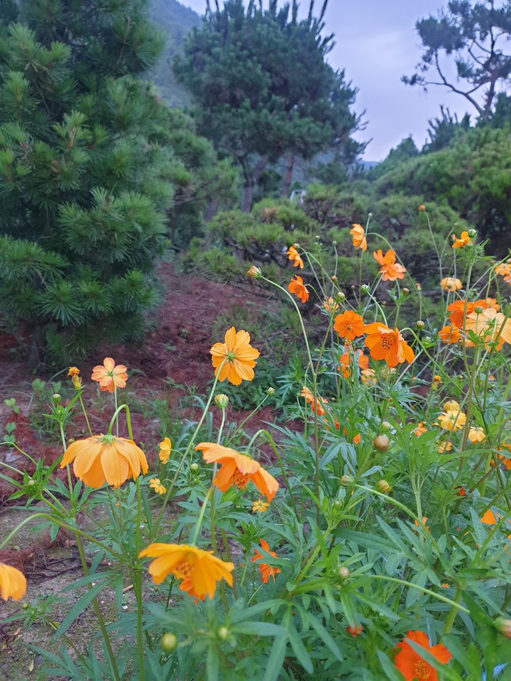 산책길에서