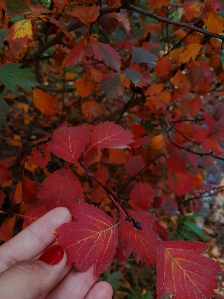 red