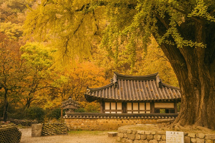 Fall in Korea
