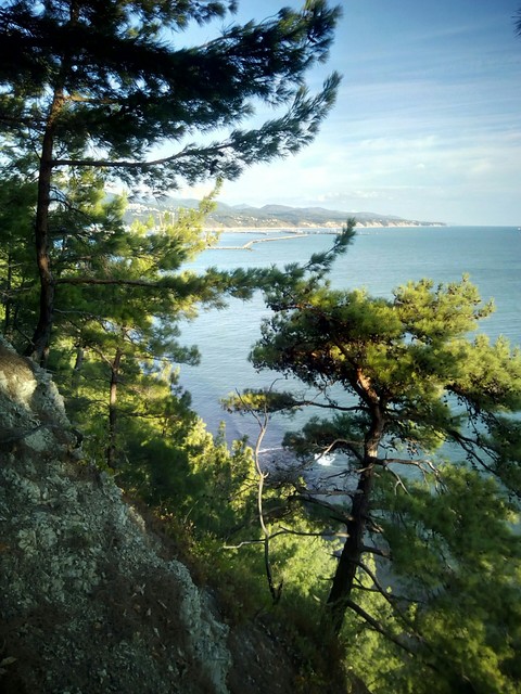Black Sea