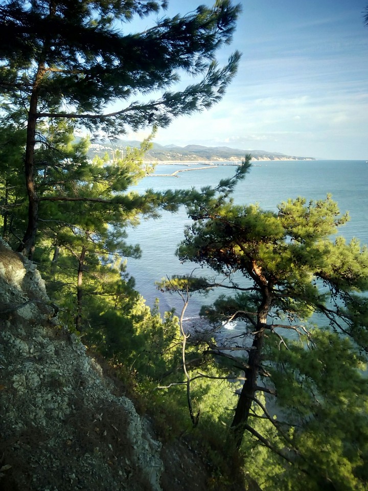 Black Sea