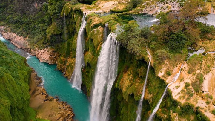 the beauty of nature