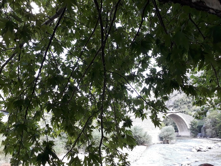 şekerpınarı