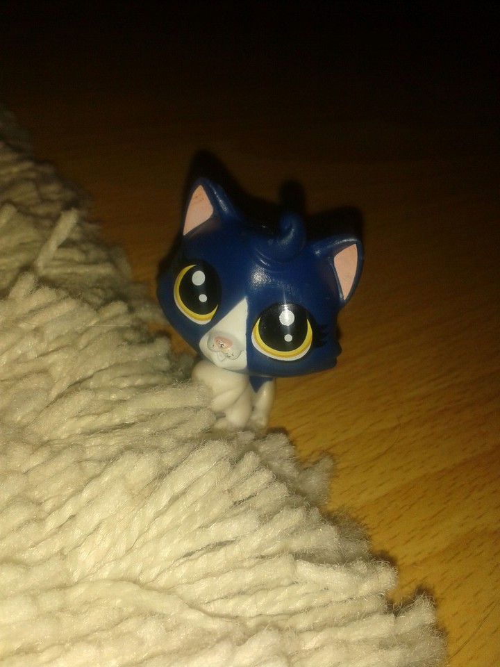 LPS ♥