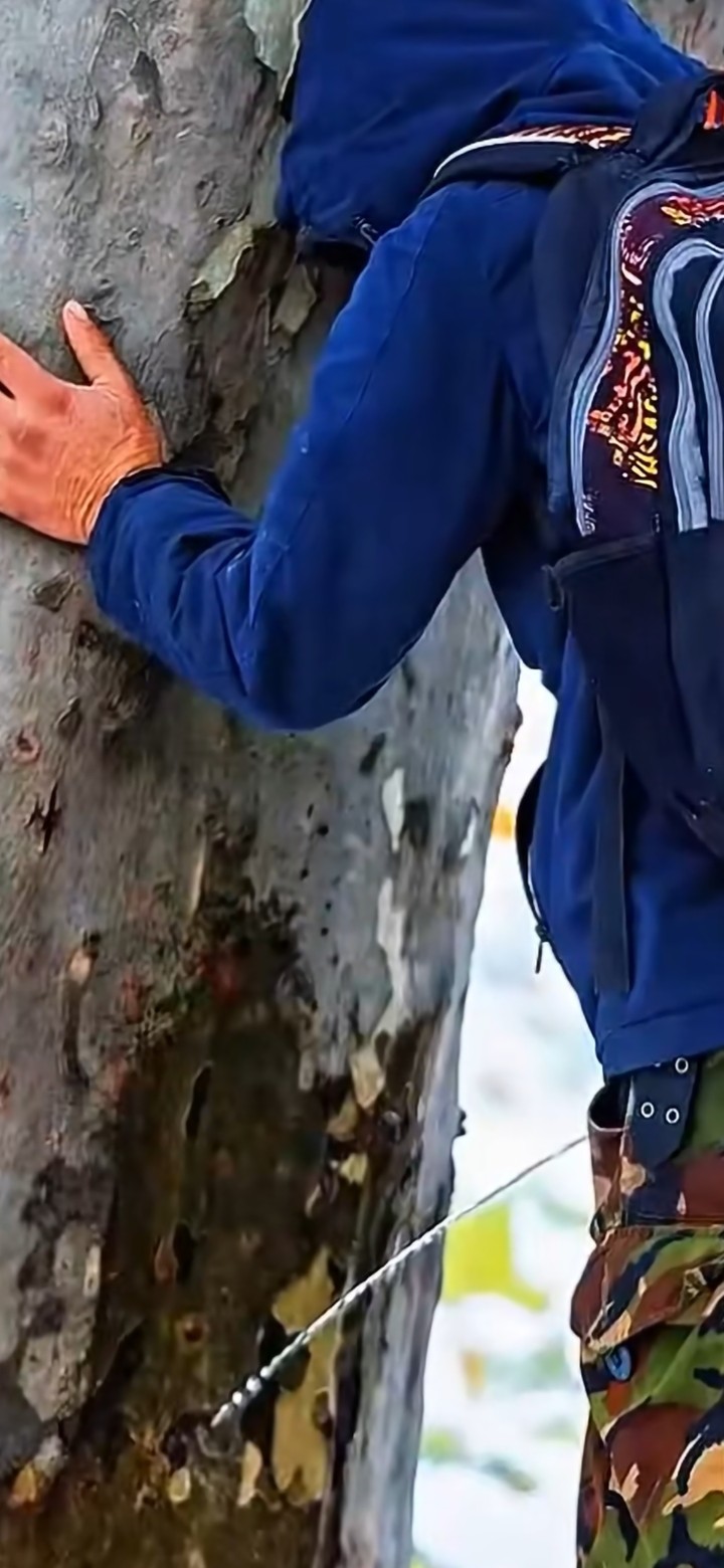 .