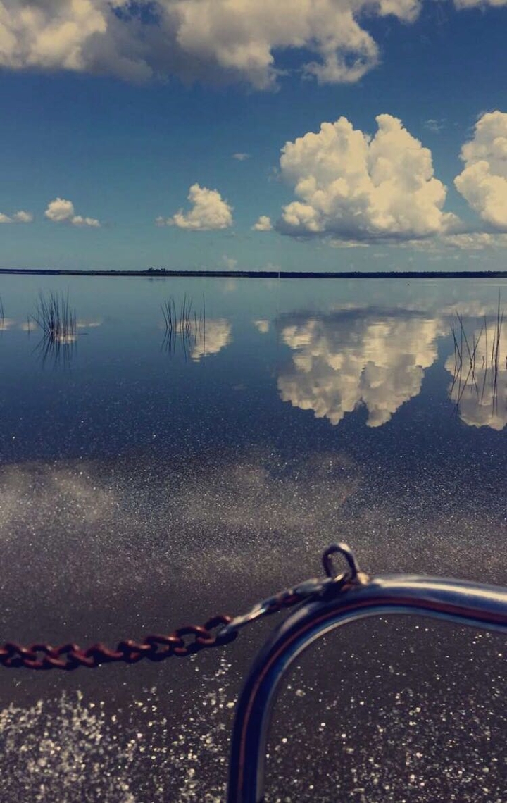 reflect