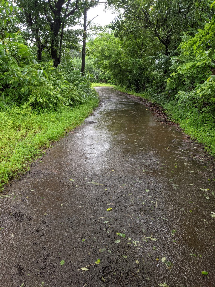 Walk in Rain