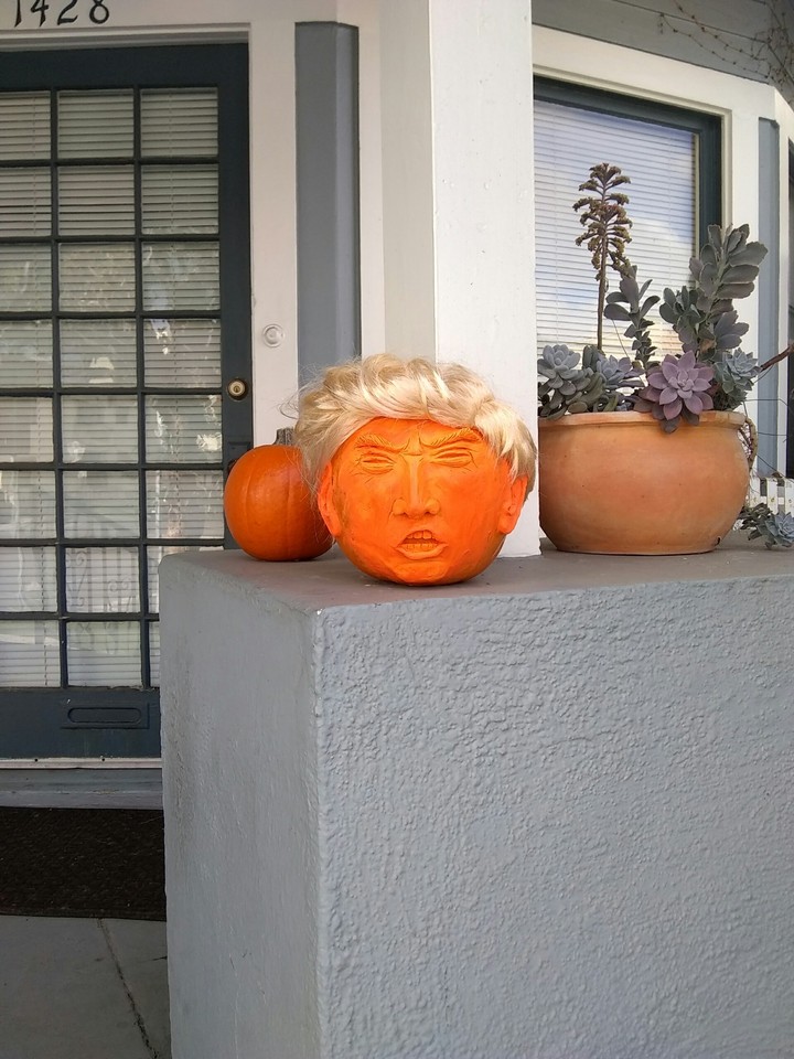 Donald Trumpkin