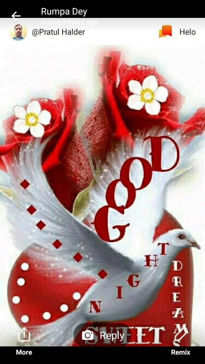 good night