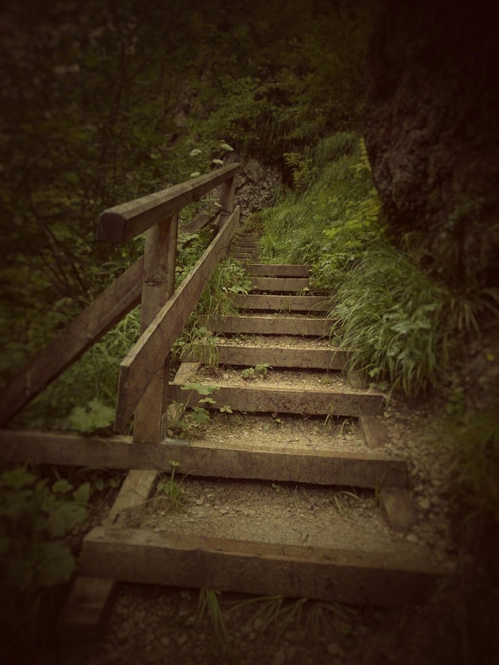 Der lange Weg nach oben