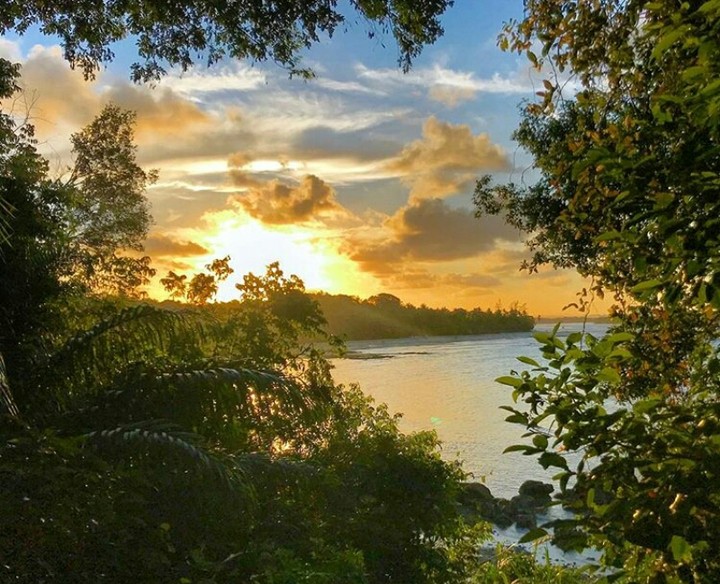 paradise