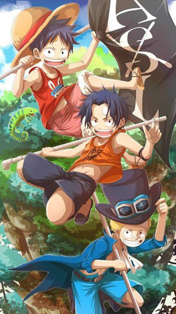 Ace Sabo & Luffy