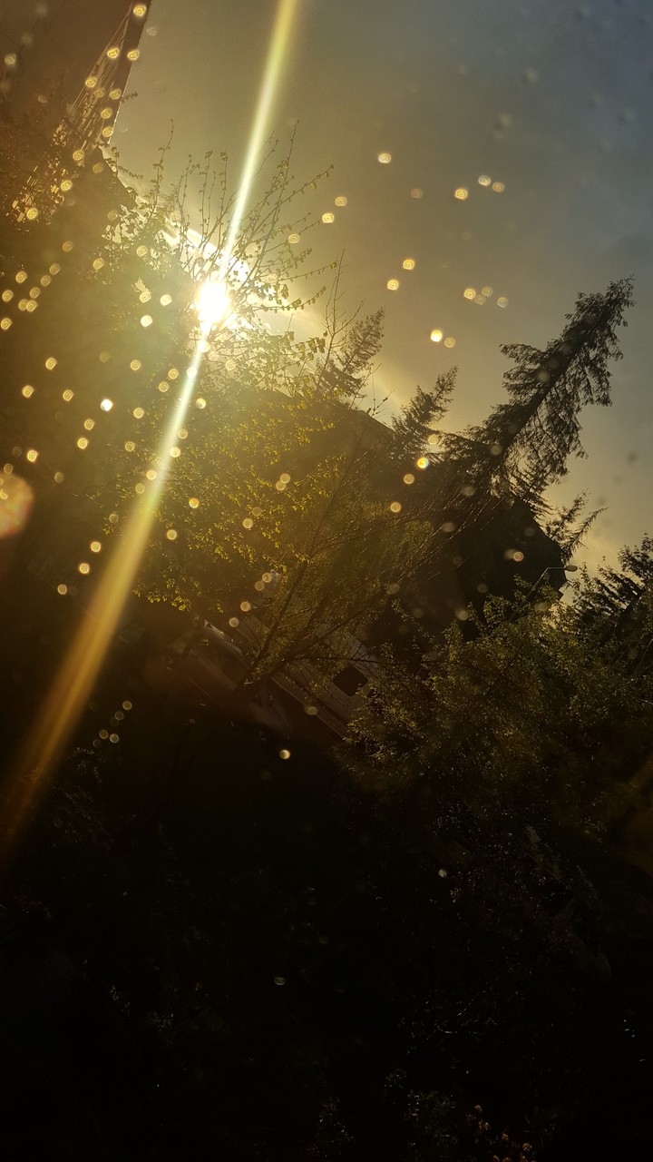 Sunshine