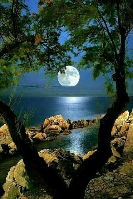 Moon night