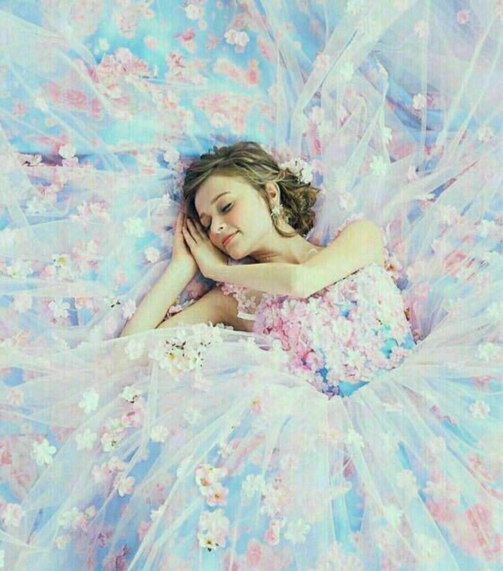 dream