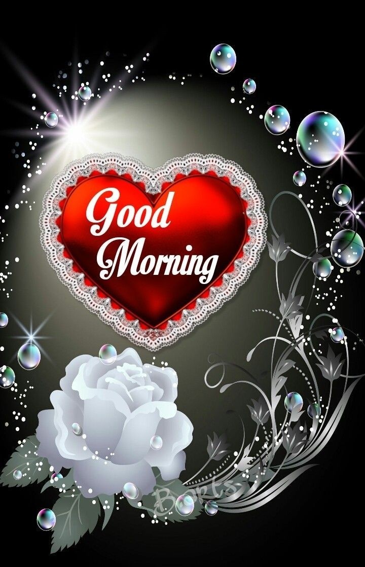Good morning =Bonjour =Gunaydin