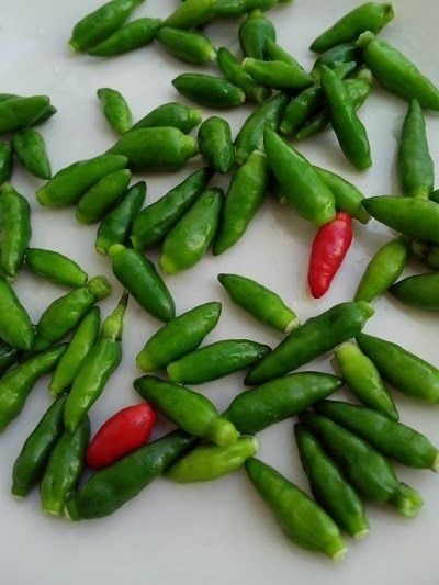 vegetable, Pea वॉलपेपर