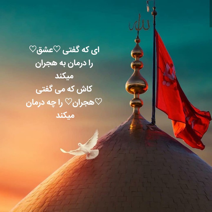 مرا
حرم
ببر
وَ
نیاور!
فقط،
همین...!