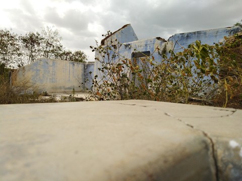 old fields