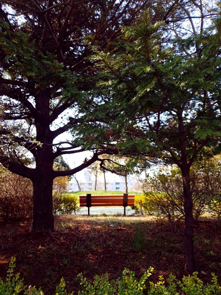 쉼