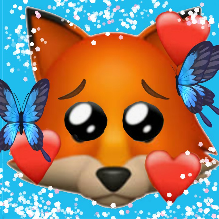 sad fox