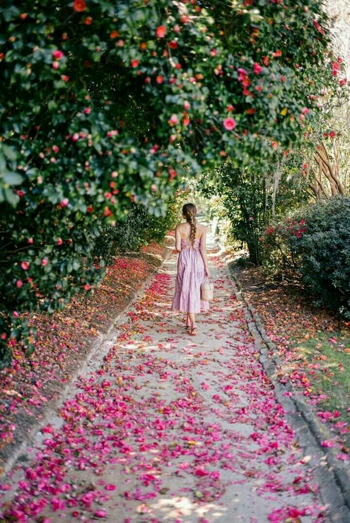 In garden