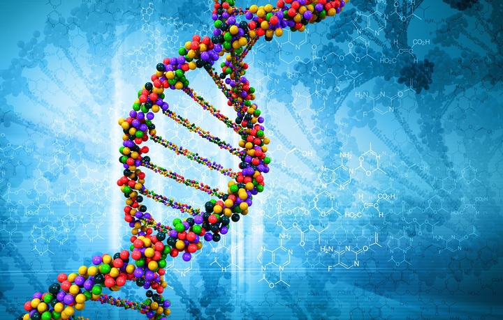 DNA