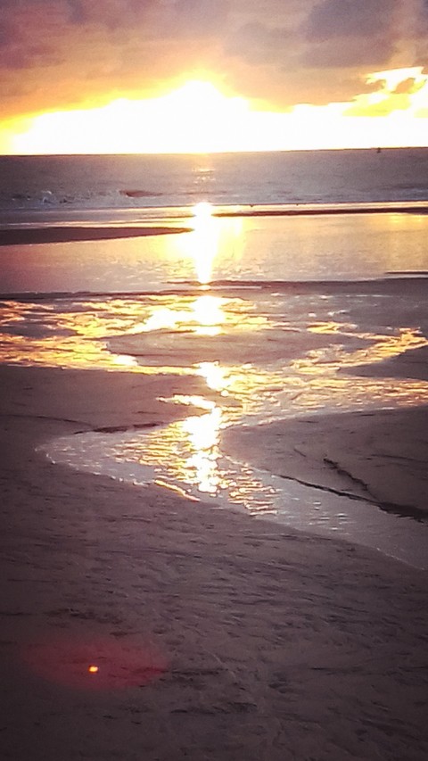 Shimmering Sunset