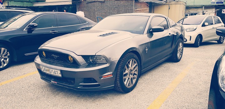 Mustang