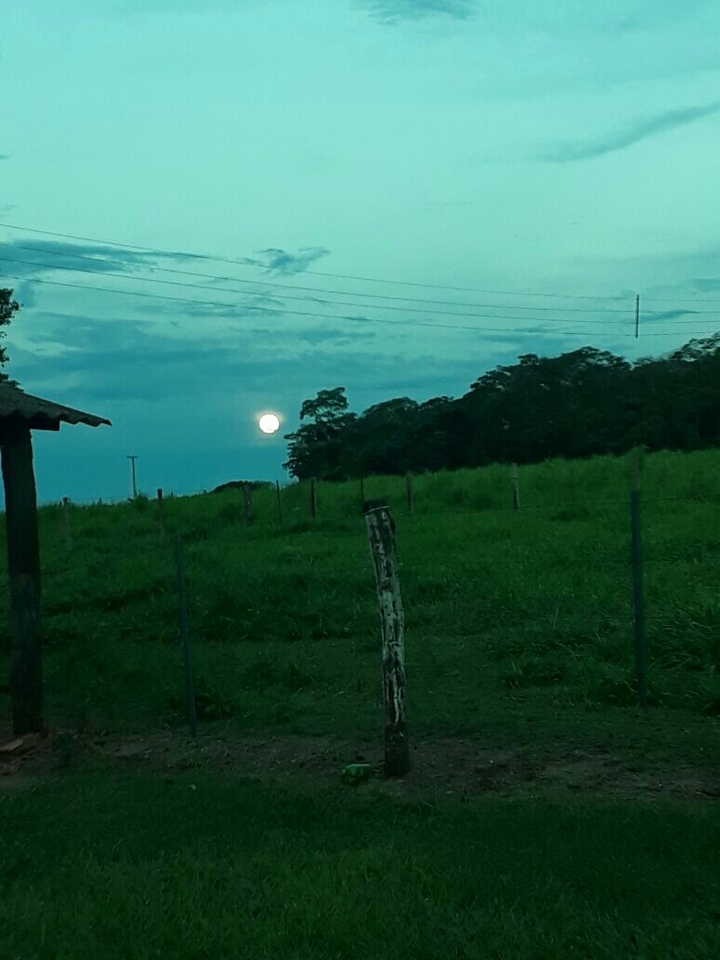 lúdico