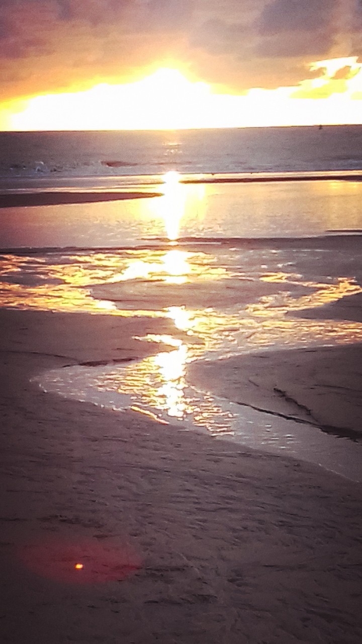 Shimmering Sunset