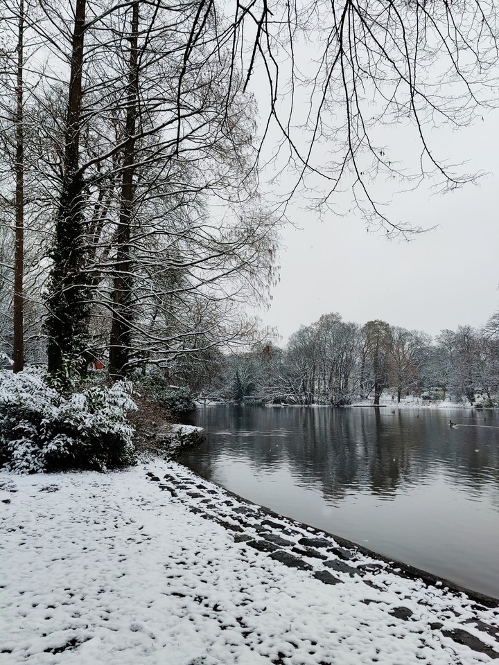 Snow