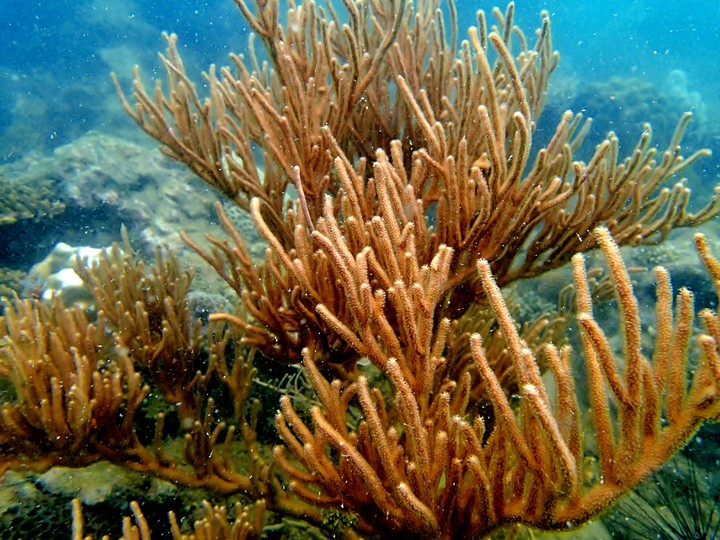 Sibu Island, Malaysia