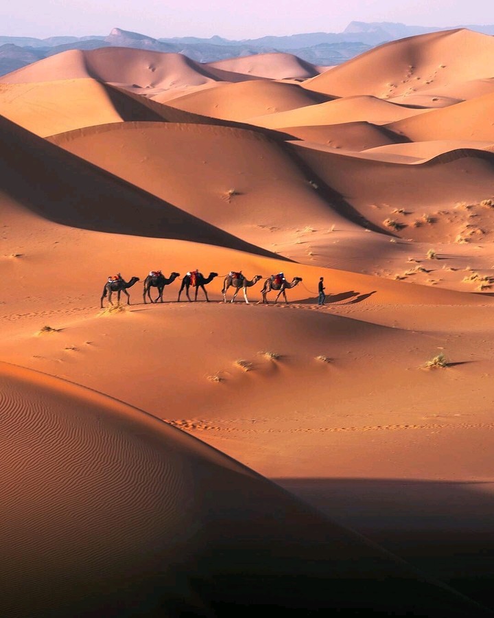 Sahara