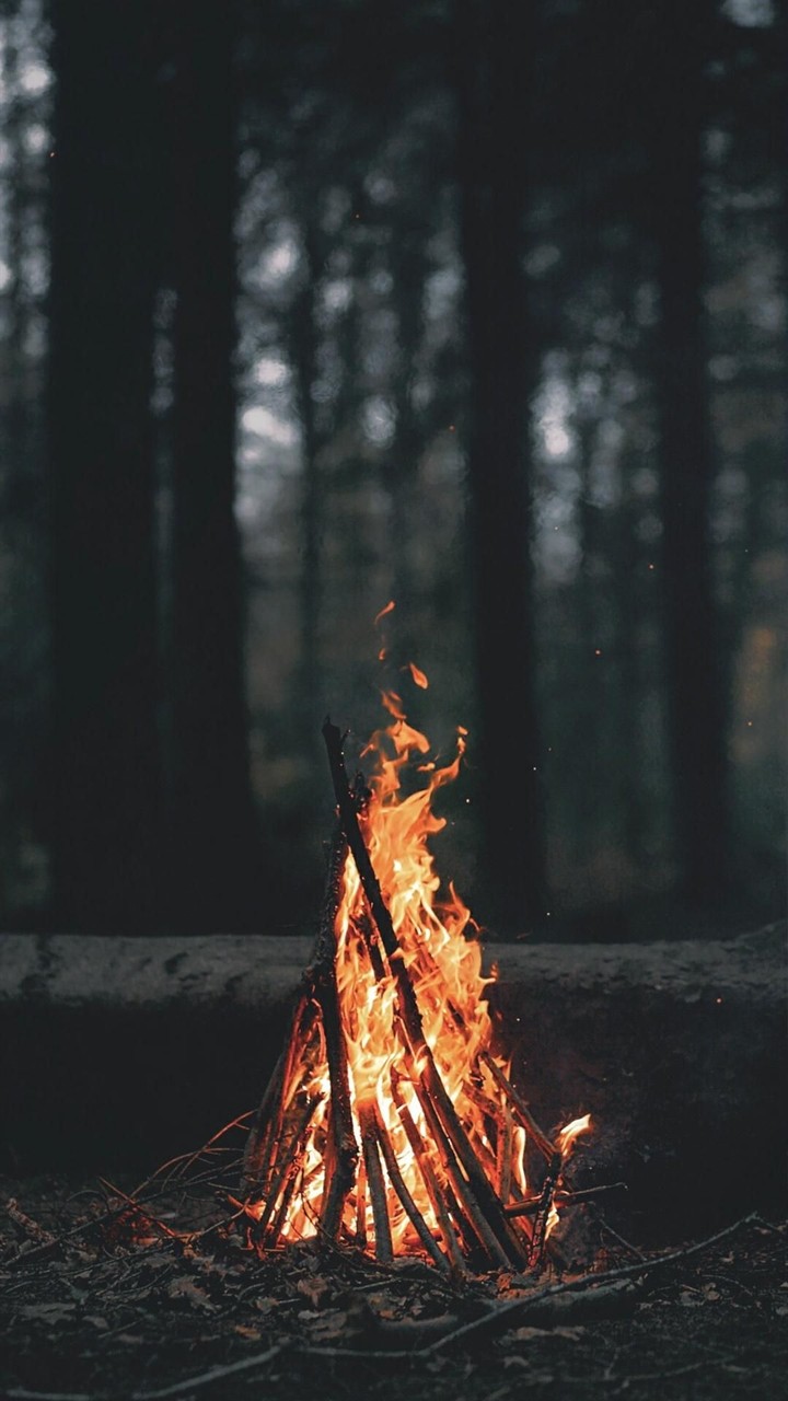 Bon Fire