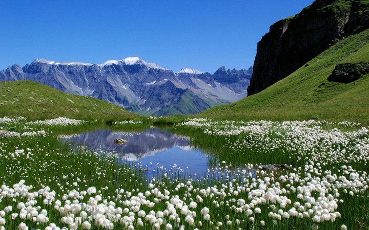 mountain lake