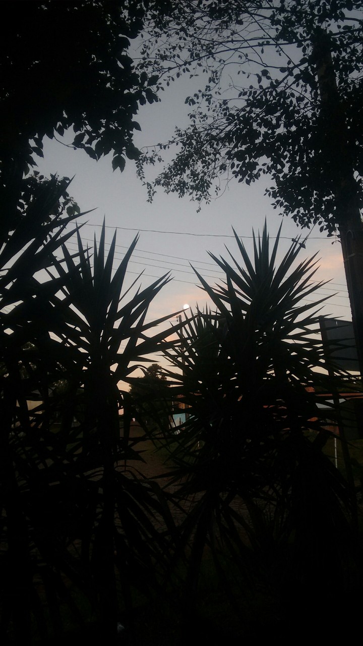night new year