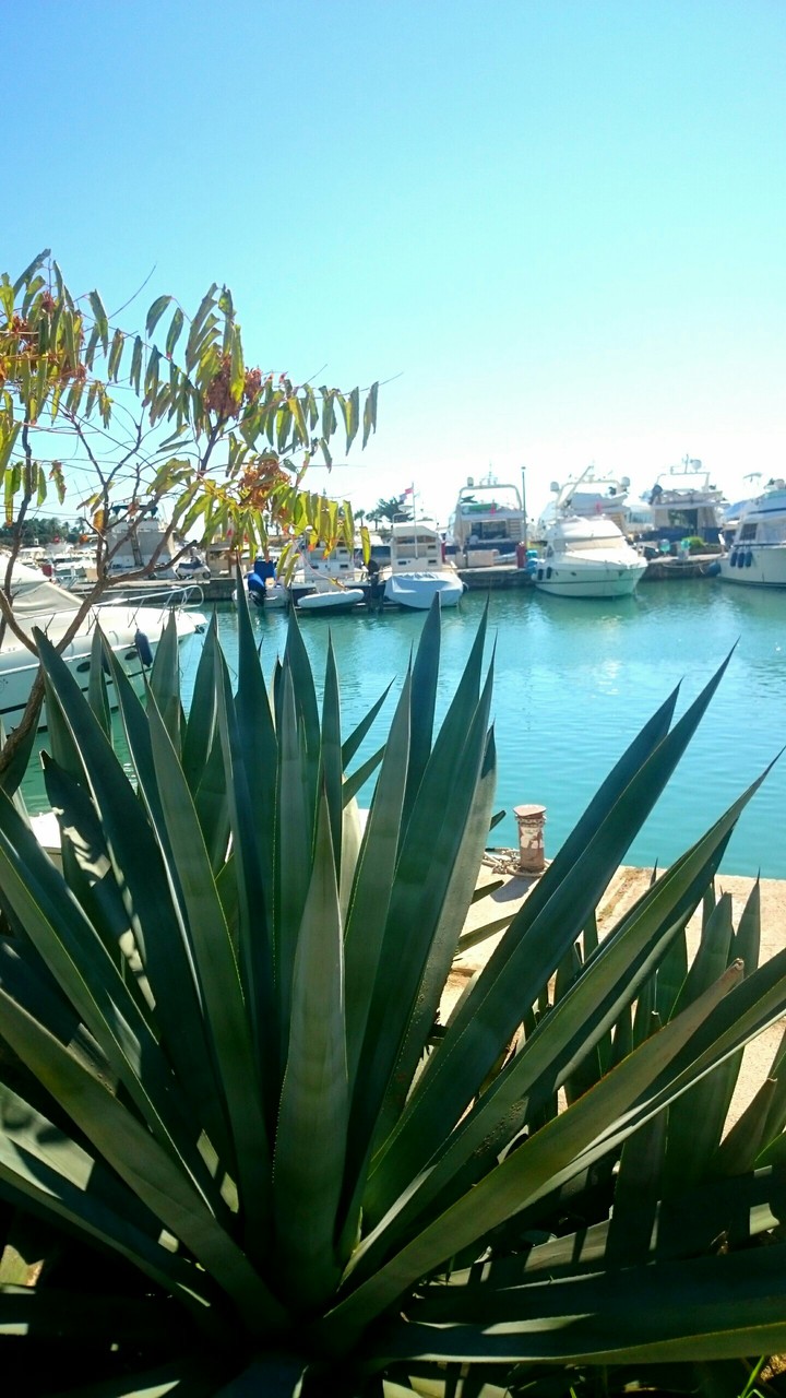 STAMATIOS