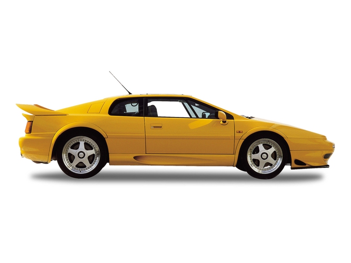 lotus