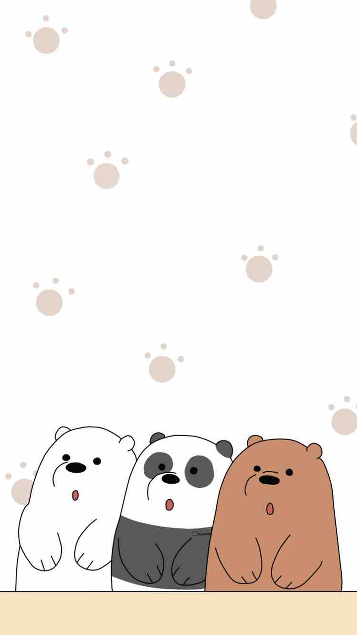 we bare bears